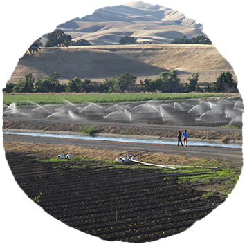 crop irrigation
